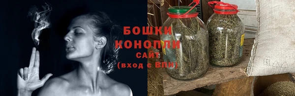 молекула духа Дмитриев