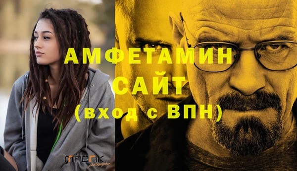 стаф Дмитров