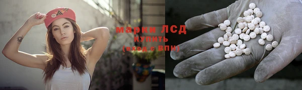 мяу мяу мука Елизово