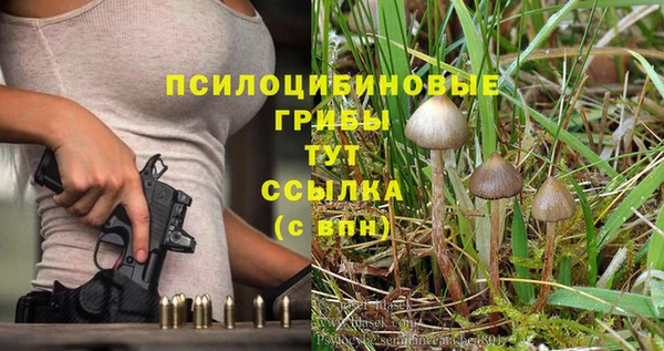 ALPHA-PVP Дмитровск
