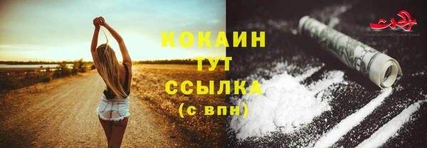 молекула духа Дмитриев