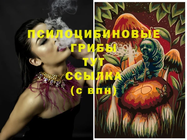 стаф Дмитров